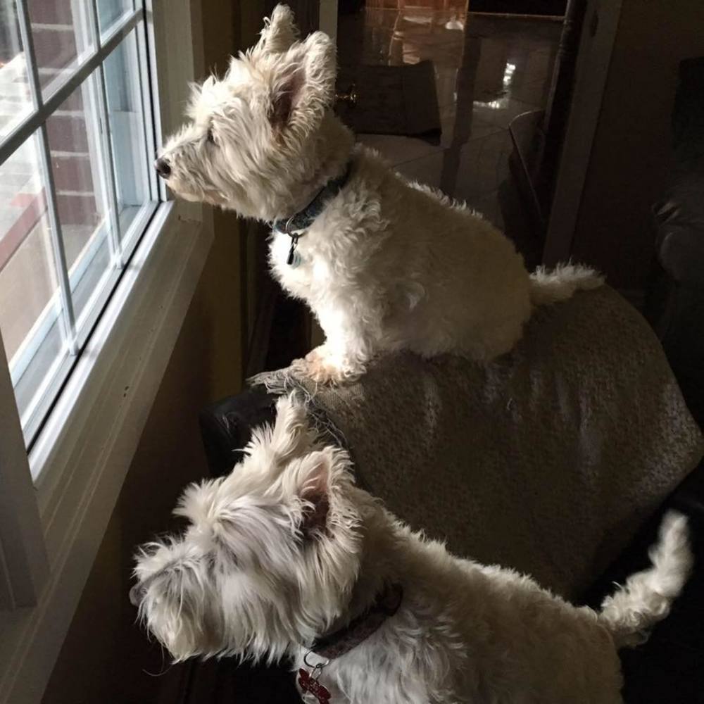 Meet your Posher, Linda